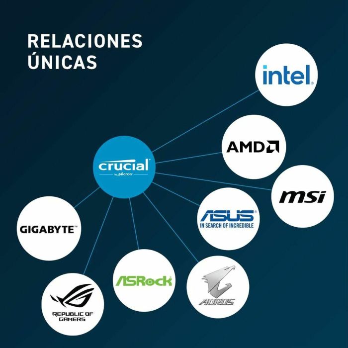 Memoria RAM Crucial CT2K16G48C40U5 DDR5 4800 MHz 32 GB CL40 7 Memoria RAM Crucial CT2K16G48C40U5 DDR5 4800 MHz 32 GB CL40 7