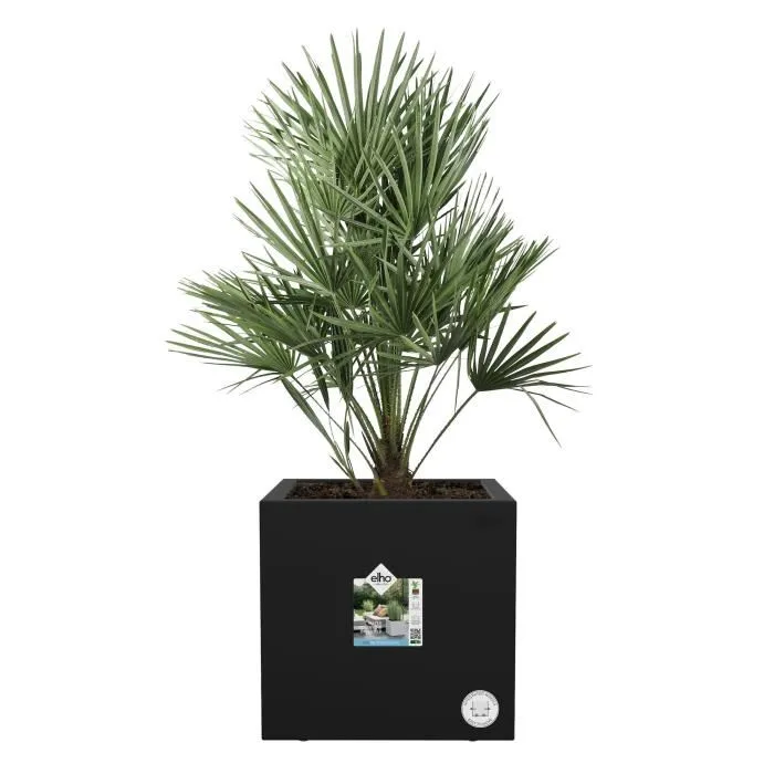 Elho ELH8711904497736 Jardinera Vivo Next Square 40 Negro Ø 39 x H 38 cm 100% Reciclado Interior/Exterior 1 Elho ELH8711904497736 Jardinera Vivo Next Square 40 Negro Ø 39 x H 38 cm 100% Reciclado Interior/Exterior 1