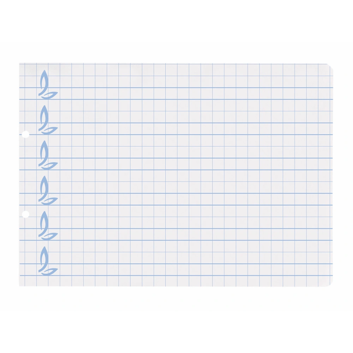 Liderpapel Recambio Cuarto Apaisado Pautaguía 100 Hojas 75gr Cuadriculado Pautado con Margen 6 Taladros 5