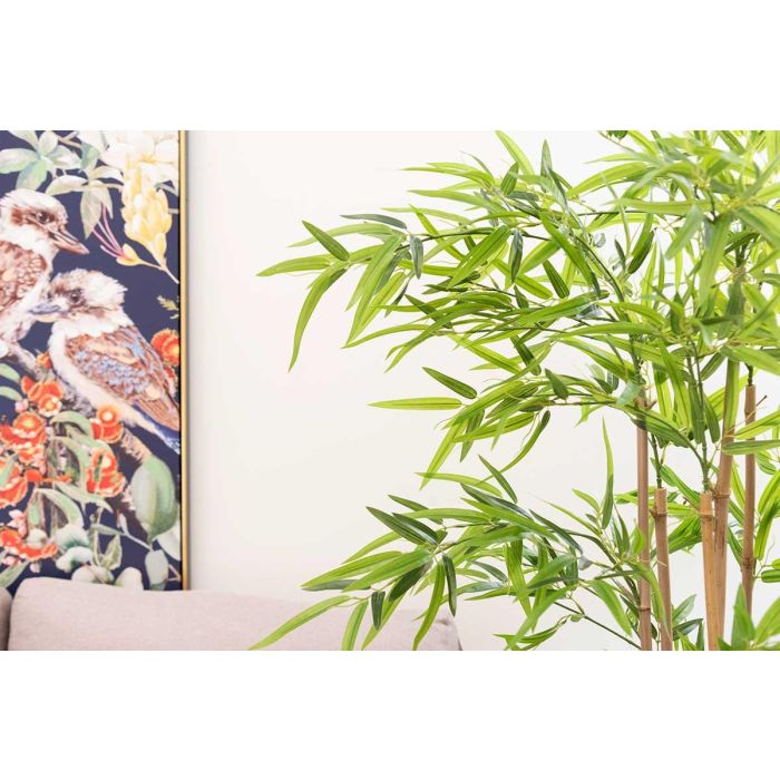 Ibergarden Planta con Maceta Bambú Pequeño 120 cm Maceta 15x15x13 cm Ibergarden Planta con Maceta Bambú Pequeño 120 cm Maceta 15x15x13 cm