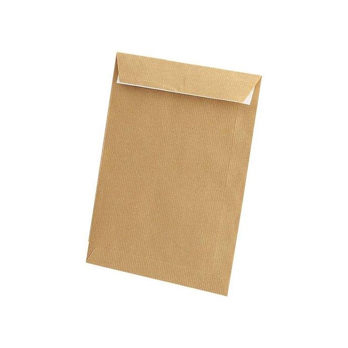 Sobre-Bolsa Sam 260X360 Reciclado 100G (Silicona) Caja De 250