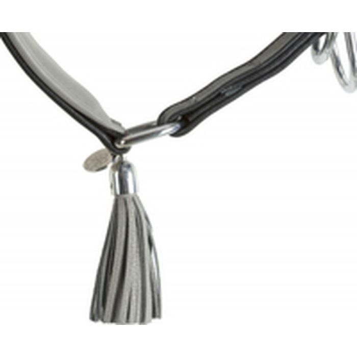 Collar de entrenamiento Trixie Active Comfort Negro Gris 21-26 cm 1