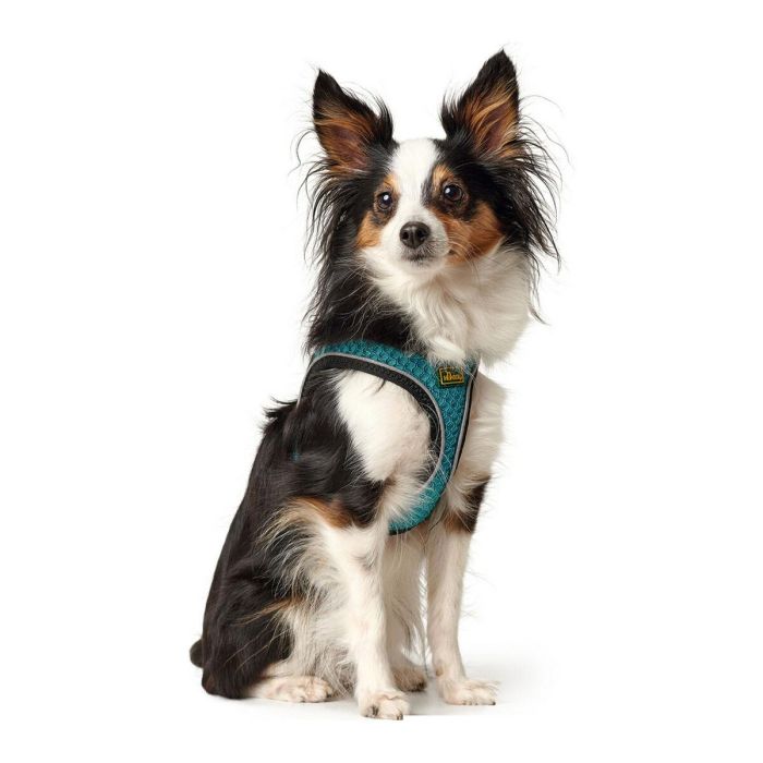 Hunter Arnés Hilo Comfort M Turquesa Cuello 55-60cm Pecho 58-65cm Malla 3D Ligero Transpirable Reflectante para Perro 3 Hunter Arnés Hilo Comfort M Turquesa Cuello 55-60cm Pecho 58-65cm Malla 3D Ligero Transpirable Reflectante para Perro 3