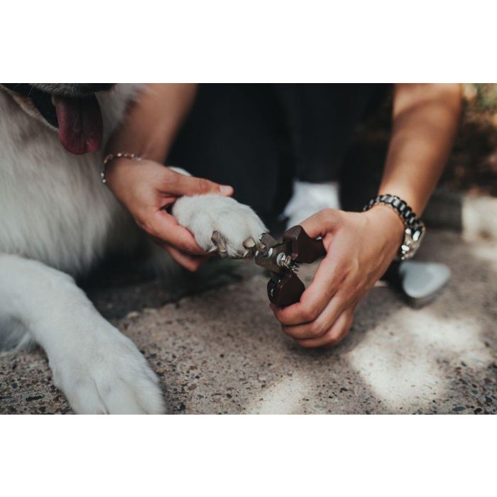 Hunter Pinza Corta Uñas M para Perros, Gatos y Pequeños Animales, Corte Preciso Uñas Duras Acero Inoxidable, Agarre Ergonómico 0 Hunter Pinza Corta Uñas M para Perros, Gatos y Pequeños Animales, Corte Preciso Uñas Duras Acero Inoxidable, Agarre Ergonómico 0