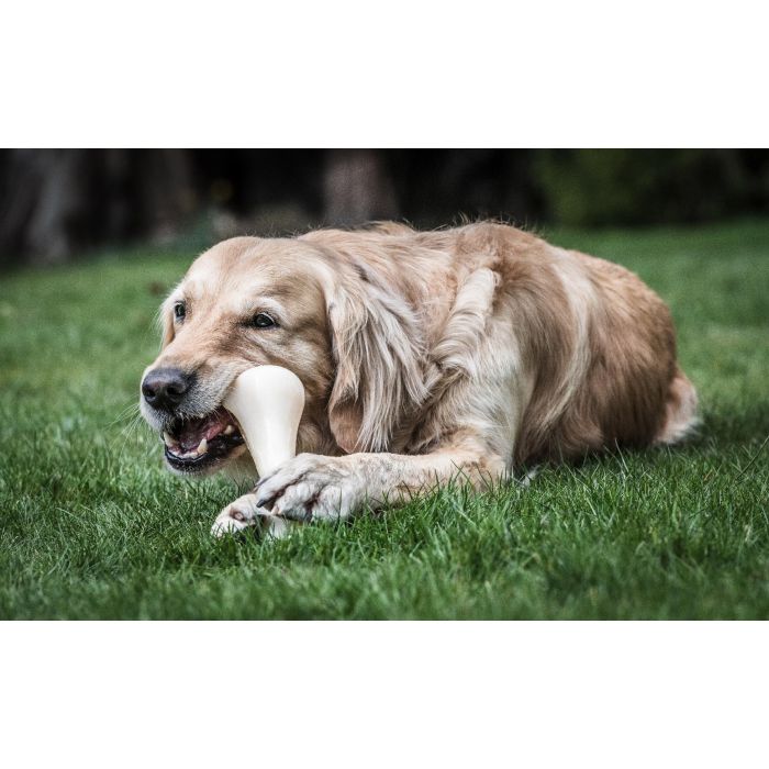 Nylabone Extreme Chew Hueso Masticable de Nylon Sabor Ternera XXL para Perros Grandes (+23kg), Juguete Duradero Limpieza Dental 2