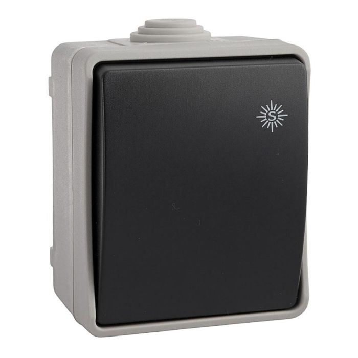 Conmutador/interruptor estanco 10 ax 250 v~ip54 (retractilado) Conmutador/interruptor estanco 10 ax 250 v~ip54 (retractilado)