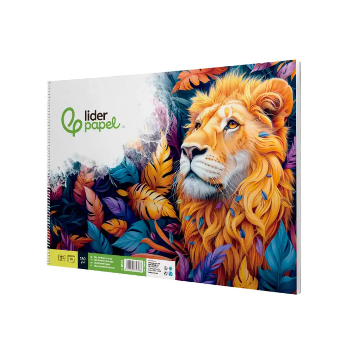 Liderpapel Bloc Dibujo Artístico Espiral 460x325mm 20 Hojas 180gr/m2 Sin Recuadro Perforado 2