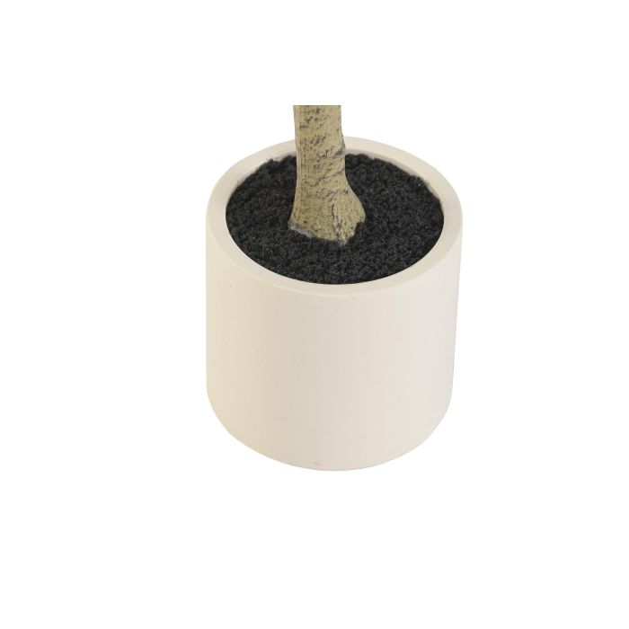 DKD Home Decor Árbol Mediterráneo Verde 80x180x80 cm (2 Unidades)