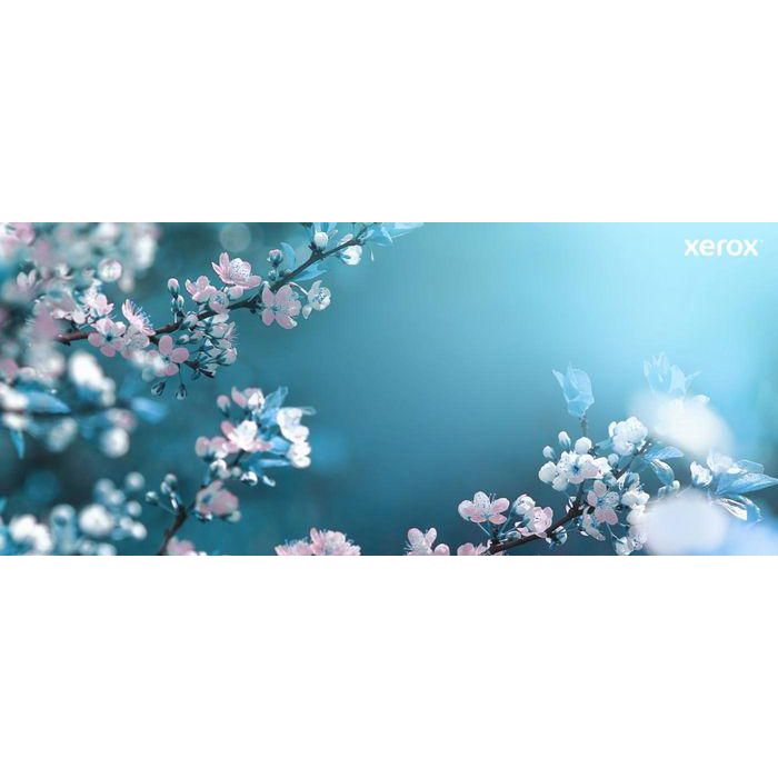 Xerox Cartucho de Tóner Original Amarillo para C230 C235 (1500 páginas) 11