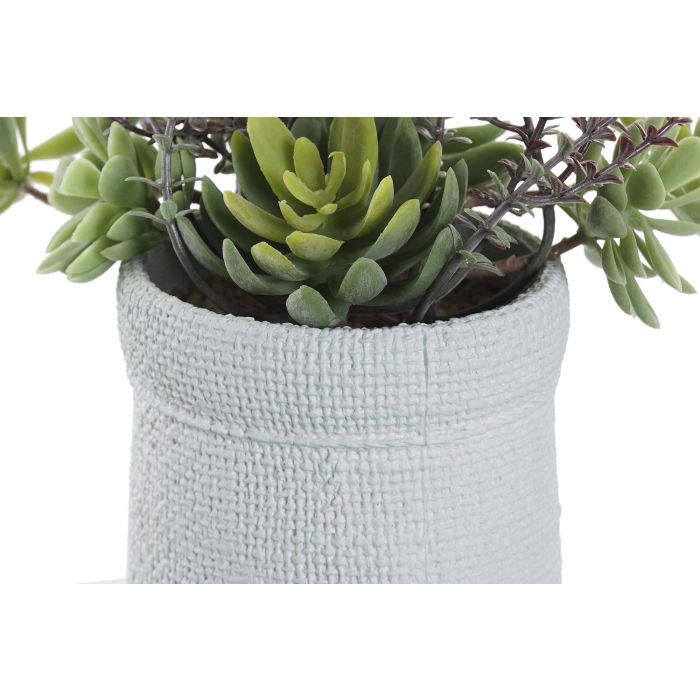 Planta DKD Home Decor Rosa Verde Menta 10 x 18 x 18 cm (4 Unidades) 2