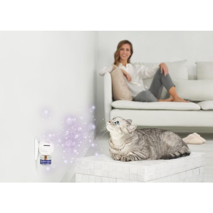 Feliway Optimum 3 Pack Recambios Difusor, Tranquilidad y Calma para Gatos, 90 Días de Efecto 0 Feliway Optimum 3 Pack Recambios Difusor, Tranquilidad y Calma para Gatos, 90 Días de Efecto 0