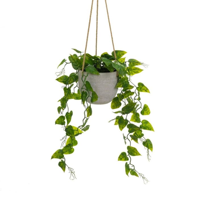 Planta Decorativa Polietileno Cemento 23 x 23 x 46 cm