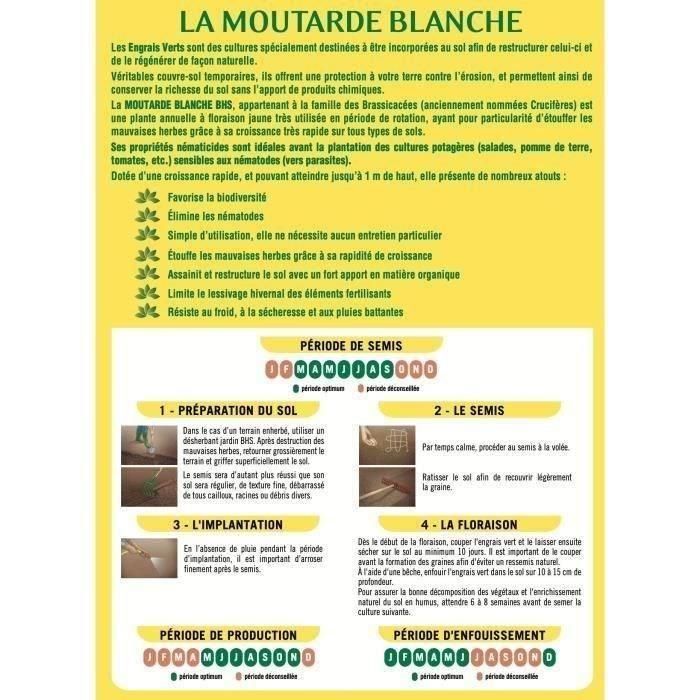 Fertilizantes Verdes - BHS - Mostaza Blanca 500g | 100 m² | Mejora y desinfecta los suelos para una mejor fertilidad. 1 Fertilizantes Verdes - BHS - Mostaza Blanca 500g | 100 m² | Mejora y desinfecta los suelos para una mejor fertilidad. 1