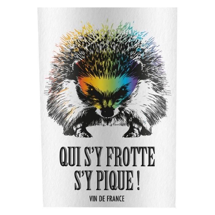 Qui SY Frotte SY Pique 2020 Vino Tinto Francés 1 Qui SY Frotte SY Pique 2020 Vino Tinto Francés 1