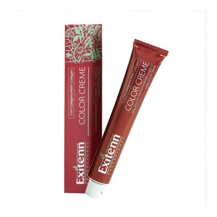 Exitenn Color Creme 60ml Color 10n2 Exitenn Color Creme 60ml Color 10n2