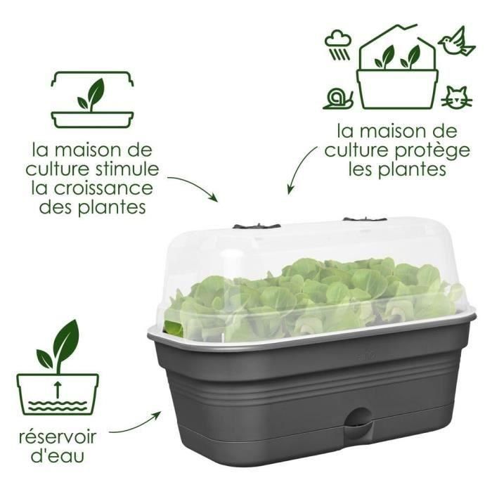 Bandeja de cultivo ELHO Green Basics Allin1 L - Negro - L 39 x B 23 x H 15 cm - cultivo y cosecha - 100% reciclado 1 Bandeja de cultivo ELHO Green Basics Allin1 L - Negro - L 39 x B 23 x H 15 cm - cultivo y cosecha - 100% reciclado 1