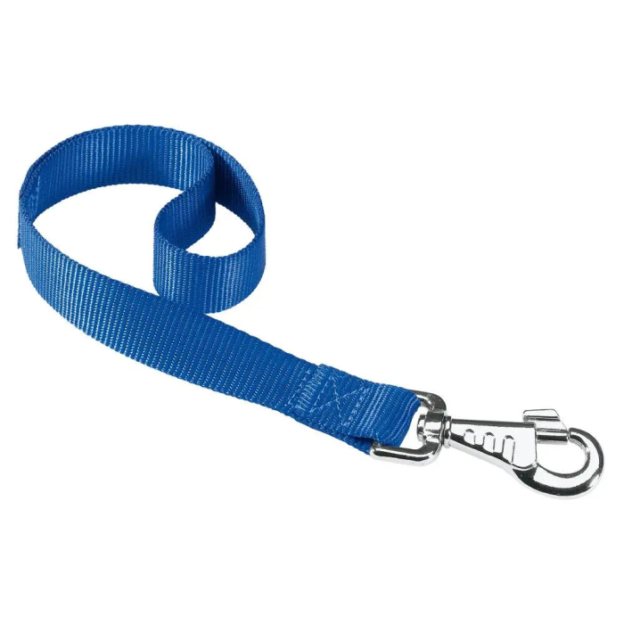 Ferplast Correa Nylon Club Gm25 45 Azul