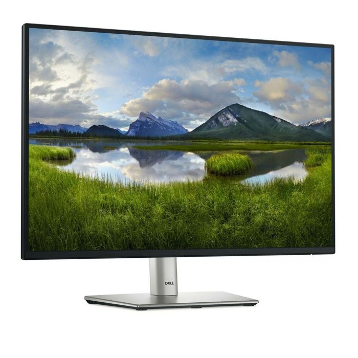 Monitor Dell P2425 24,1" HD WUXGA 100 Hz 10