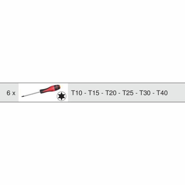 KS TOOLS 713.5013 - Módulo Destornilladores Torx Ultimate - 6 Piezas - Para Carros y Bancos de Trabajo 1 KS TOOLS 713.5013 - Módulo Destornilladores Torx Ultimate - 6 Piezas - Para Carros y Bancos de Trabajo 1