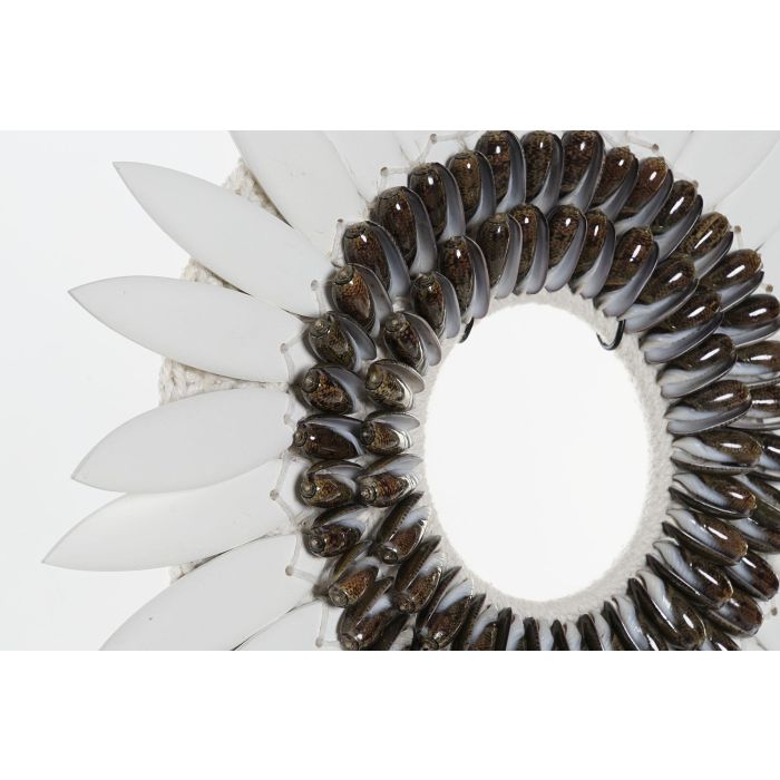 DKD Home Decor Beige Negro 12 x 56 x 40 cm conchas y hierro 1