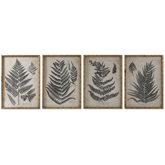 Cuadro Home ESPRIT Cristal Abeto 50 x 3 x 70 cm 50 x 2,5 x 70 cm
