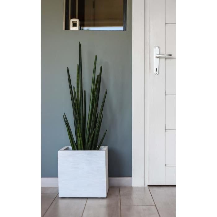 EDA PLASTIQUE Caja de flores cuadrada Graphit Up - 21 L - 29.5 x 29.5 x 29.5 cm - Cerusie blanco 3 EDA PLASTIQUE Caja de flores cuadrada Graphit Up - 21 L - 29.5 x 29.5 x 29.5 cm - Cerusie blanco 3