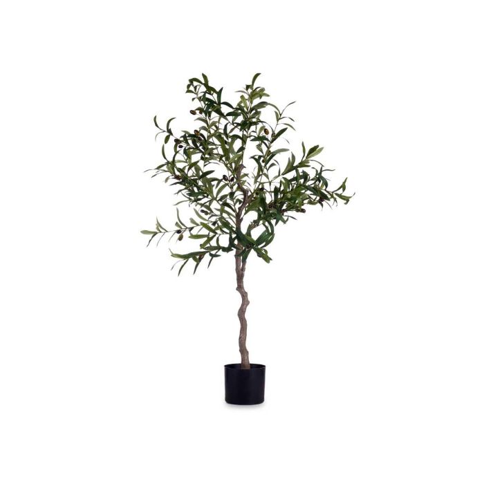 Olivo en Maceta 150 cm - Ibergarden, Verde, Maceta 16x16x15 cm 1 Olivo en Maceta 150 cm - Ibergarden, Verde, Maceta 16x16x15 cm 1