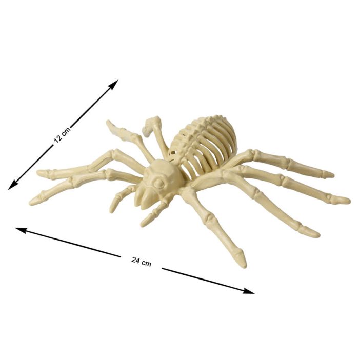 G. Araña 24X12Cm Esqueleto