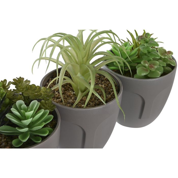 DKD Home Decor Planta Gris Verde 11 x 15 x 11 cm (3 Unidades) 2 DKD Home Decor Planta Gris Verde 11 x 15 x 11 cm (3 Unidades) 2