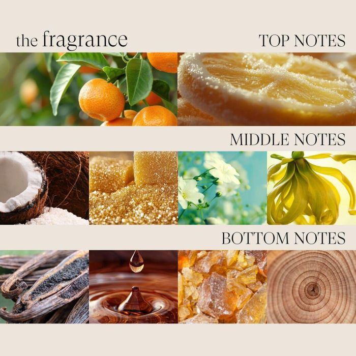 Laca Fijadora L'ANZA 1 Laca Fijadora L'ANZA 1