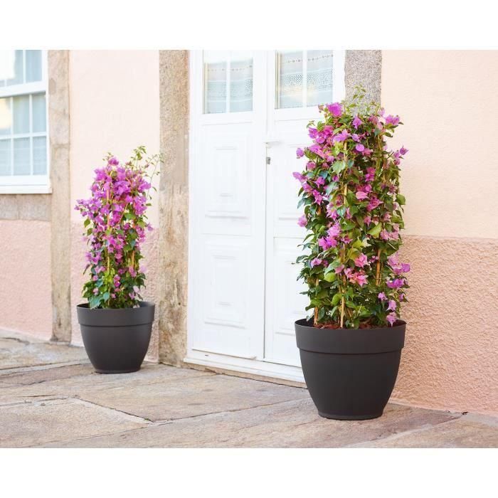 Capri Campana Antracita 30Cm 5 Capri Campana Antracita 30Cm 5
