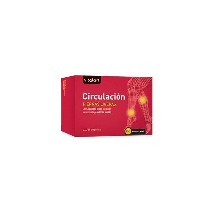 Circulacion