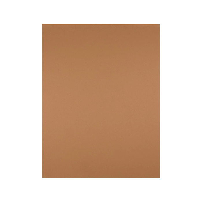 Liderpapel Cartulina Marron Escolar 50x65 cm 240g/m2 Paquete de 25 Hojas 2