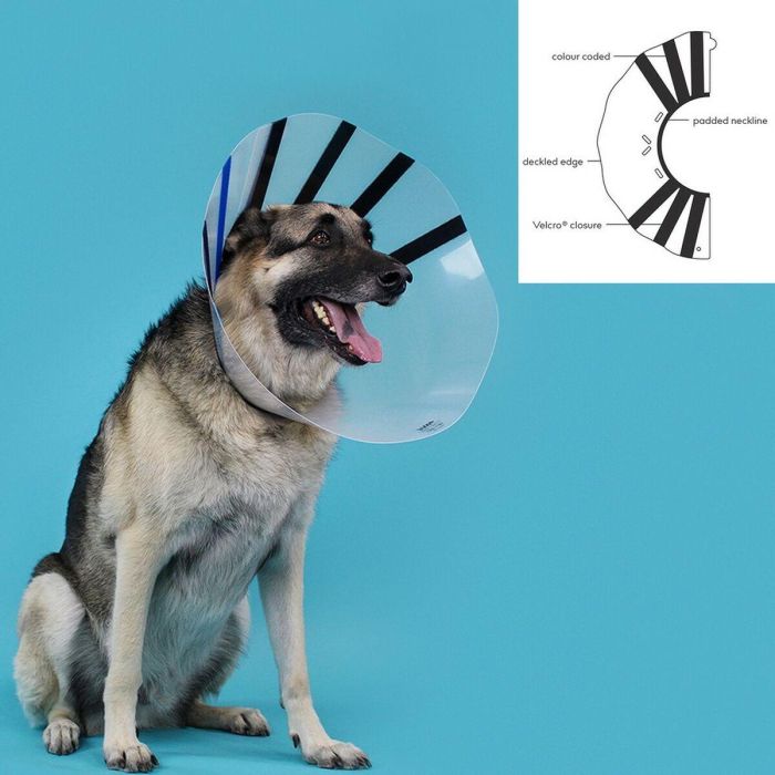 Collar Isabelino para Perros KVP EZ Clear (32-39 cm) 1 Collar Isabelino para Perros KVP EZ Clear (32-39 cm) 1