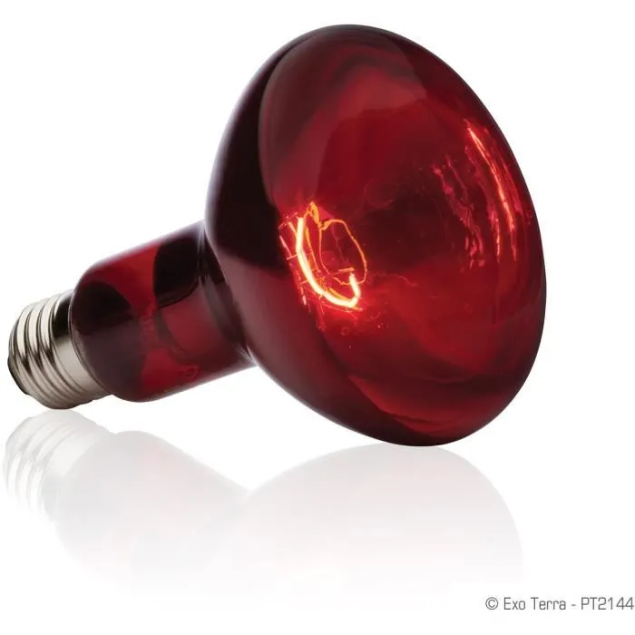 Exo Terra Lámpara Infrarroja Baskin Spot 100 W para Terrario 2