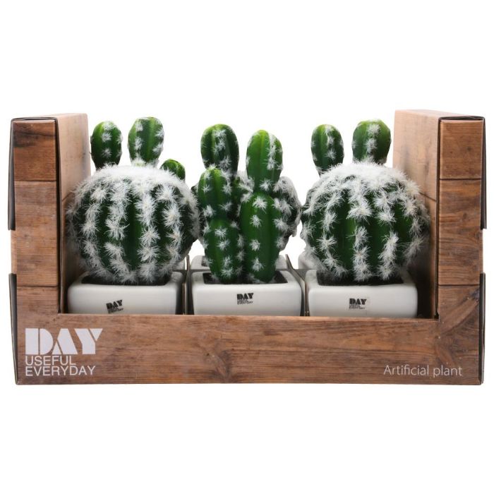Day Cactus Artificial Maceta Plástico Mate Formas Surtidas Alto Redondo H 17 Cm H 13 Cm Maceta 7 5x7 5 Cm H 6 Cm 1 Day Cactus Artificial Maceta Plástico Mate Formas Surtidas Alto Redondo H 17 Cm H 13 Cm Maceta 7 5x7 5 Cm H 6 Cm 1