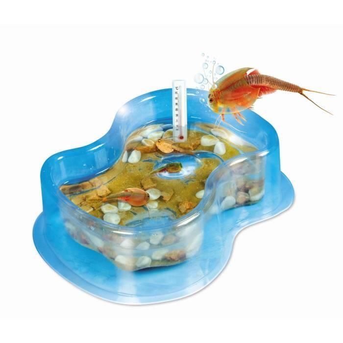 CLEMENTONI Science & Jeu - My first Triops - Juego científico 1 CLEMENTONI Science & Jeu - My first Triops - Juego científico 1