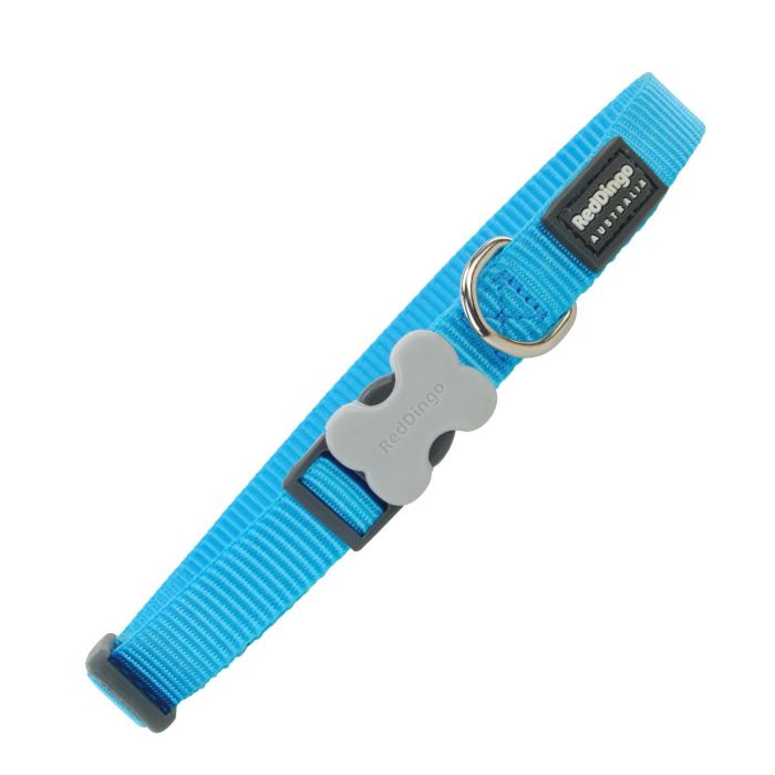 Collar Perro Rd Liso Turquesa 25 mm X 41-63 cm