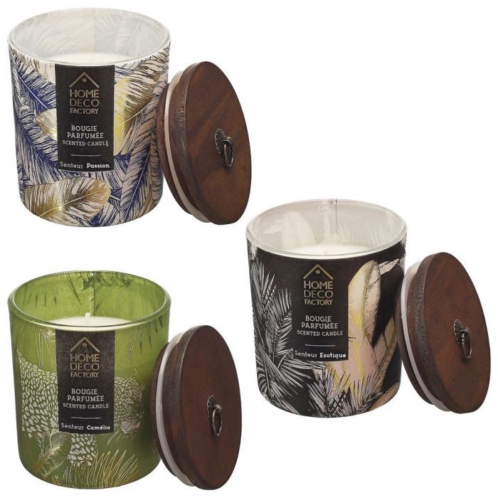 Home Deco Factory Vela Perfumada Natural Wild Altura 8,5 cm 2