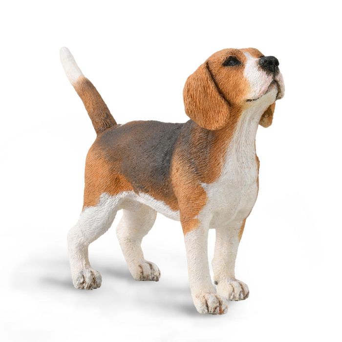 Collecta 88935 Figura Perro Beagle Realista Tamaño M Pose Atenta Juguete Coleccionable para Niños +3 Años Collecta 88935 Figura Perro Beagle Realista Tamaño M Pose Atenta Juguete Coleccionable para Niños +3 Años