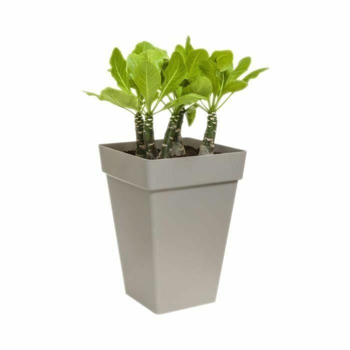 ELHO Planta contenedor cuadrado alto - 37 cm - gris antracita 1