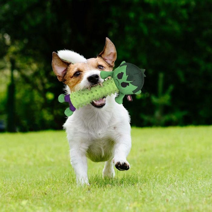 Juguete para perros The Avengers Verde 100 % poliéster 9 Juguete para perros The Avengers Verde 100 % poliéster 9