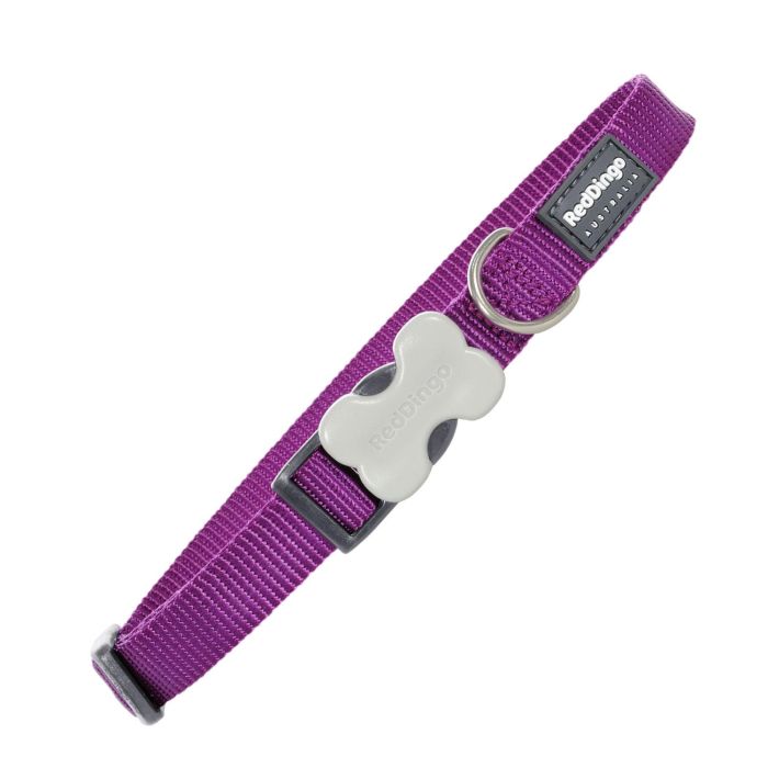 Collar Perro Rd Liso Morado 15 mm X 24-37 cm