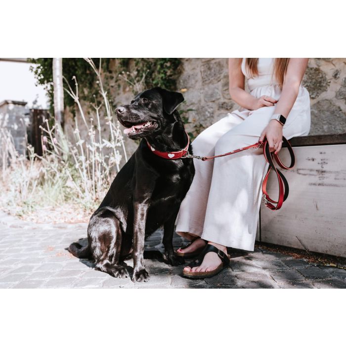 Hunter Correa Ajustable Love para Perro de Cuero de Vaca, 200 cm Largo x 1.3 cm Ancho, Rojo-Negro. Con Forro Napa, Artesanal. 4 Hunter Correa Ajustable Love para Perro de Cuero de Vaca, 200 cm Largo x 1.3 cm Ancho, Rojo-Negro. Con Forro Napa, Artesanal. 4