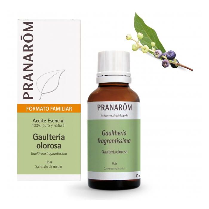 Aceite Esencial Aeqt Gaulteria Olorosa Bio 30 Ml Aceite Esencial Aeqt Gaulteria Olorosa Bio 30 Ml