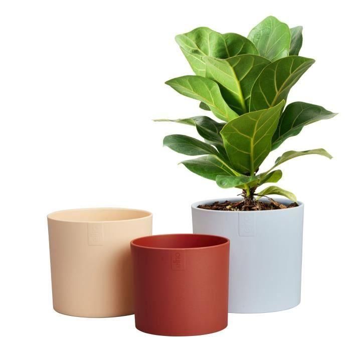 Maceta - Elho - Lex Pott - Set 14 - Azul Rosa Naranja - L 14 x An 13,8 x Al 12 cm - Interior - 100% reciclado 4 Maceta - Elho - Lex Pott - Set 14 - Azul Rosa Naranja - L 14 x An 13,8 x Al 12 cm - Interior - 100% reciclado 4