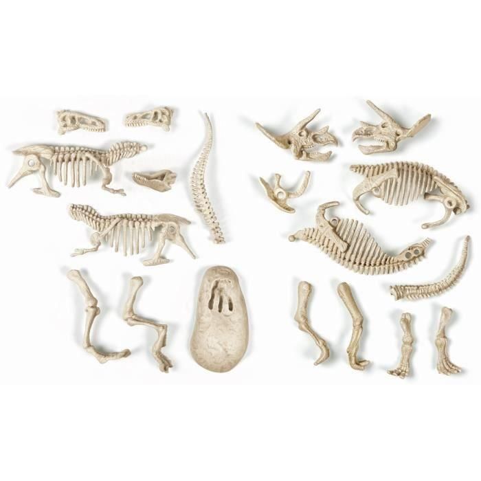 Clementoni Kit Arqueológico Archéo Ludic para cavar Fósiles T-Rex y Triceratops Fosforescentes Science & Jeu 8+ años 3 Clementoni Kit Arqueológico Archéo Ludic para cavar Fósiles T-Rex y Triceratops Fosforescentes Science & Jeu 8+ años 3