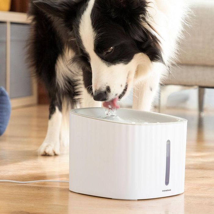 Fuente para Mascotas Drinkatt InnovaGoods 9