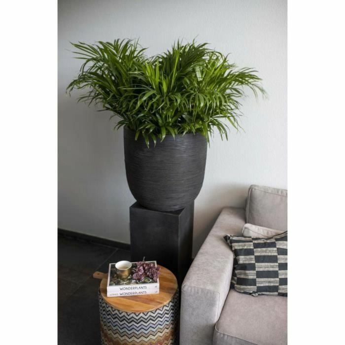 Capi Europe KBLR935 Jardinera de la Colección Nature Rib con Diseño Acanalado, 54 x 52 cm, Negro 2 Capi Europe KBLR935 Jardinera de la Colección Nature Rib con Diseño Acanalado, 54 x 52 cm, Negro 2