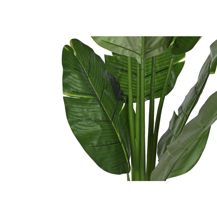 DKD Home Decor Planta Artificial Árbol del Viajero de PE Verde 180 x 60 x 60 cm - Pack de 2 Unidades para Decoración 1